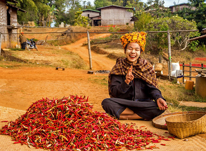 The 3 days of trekking that separates Kalaw from Lake Inle are the perfect opportunity to know the different ethnic groups that inhabit this area of the country. In the company of a guide, you will cross mountains, enormous fields of chili and small and rustic towns, where you will eat and you will sleep in the wooden houses of the villagers. They will welcome you with the best of their smiles and their innate curiosity! In addition, it does not need a great physical form since it is a walk little demanding, focused mainly to a cultural immersion in the towns of the zone and its lifestyle.