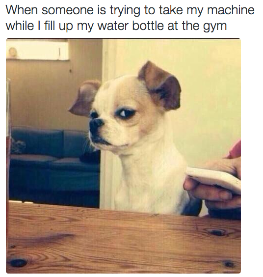 67 Memes About Going To The Gym That Are Way Funnier Than They Should Be