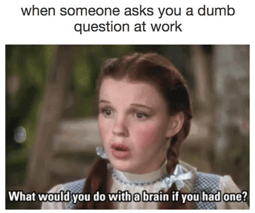 Dorothy saying, &quot;What would you do with a brain if you had one?&quot;