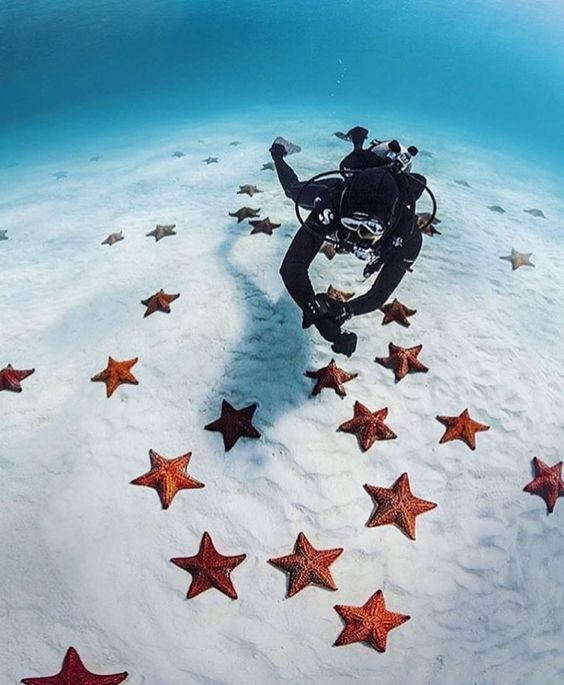 The Bahamas