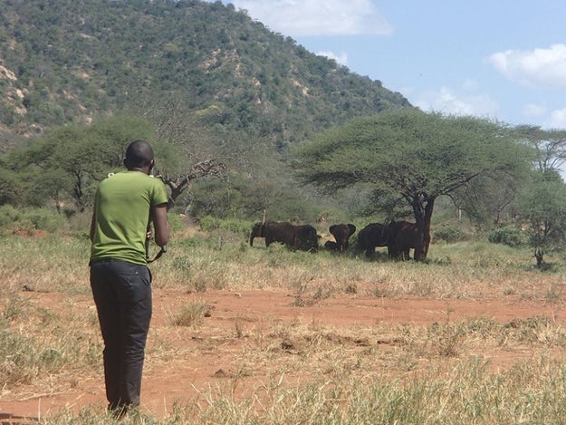 Thirsty elephants have rampaged through villages looking for water, sometimes with deadly results.