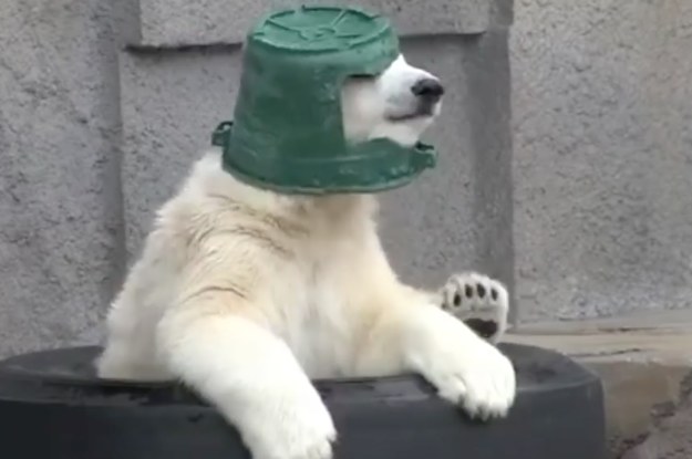 11 Happy Little Things To Make You Smile This Week