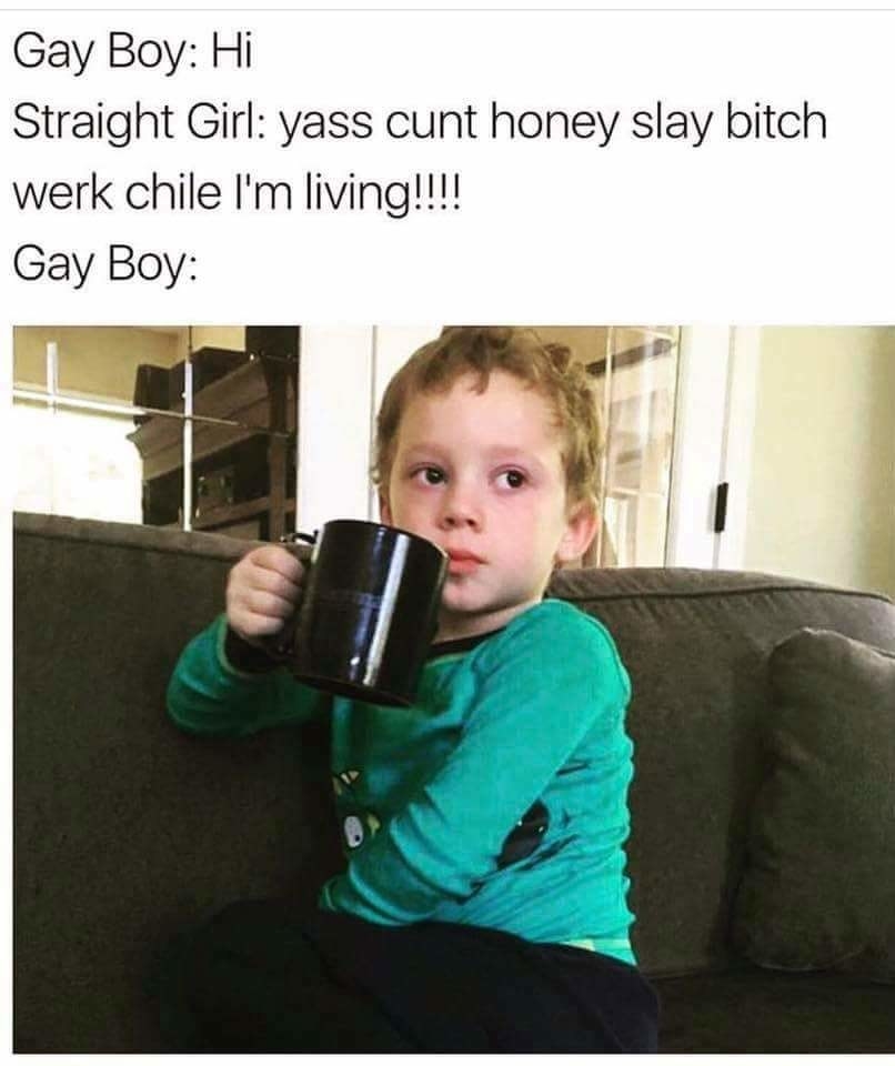 best gay memes instagram