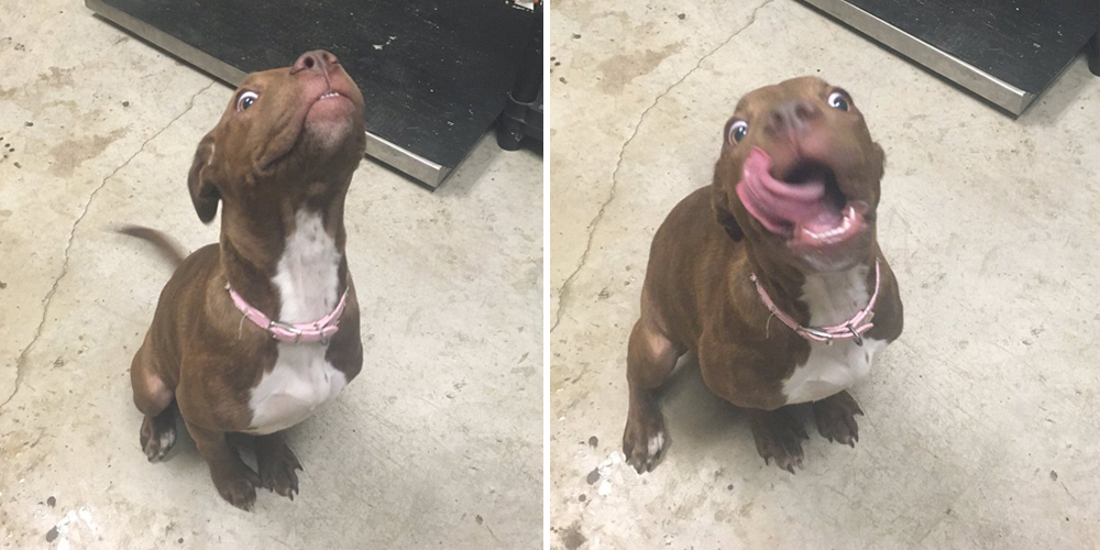 A 21-Year-Old Has Inspired People To Share Photos Of 