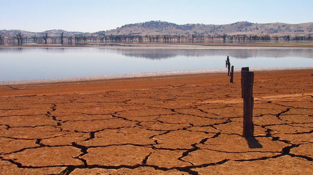 The Kenyan government declared a national emergency last month following an ongoing drought that has ravaged large parts of the country. It is among five countries in East Africa experiencing the worst drought in 60 years. Mwalua said he was horrified by how animals have been affected, too.