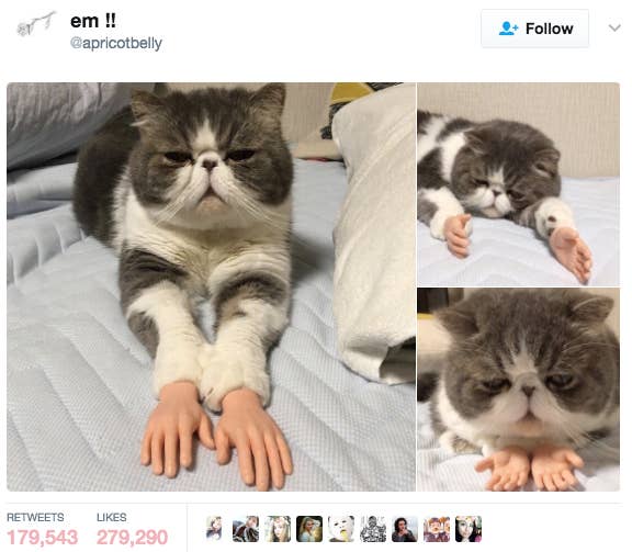 22 Jokes You Ll Only Find Funny If You Have A Weird Sense Of Humour