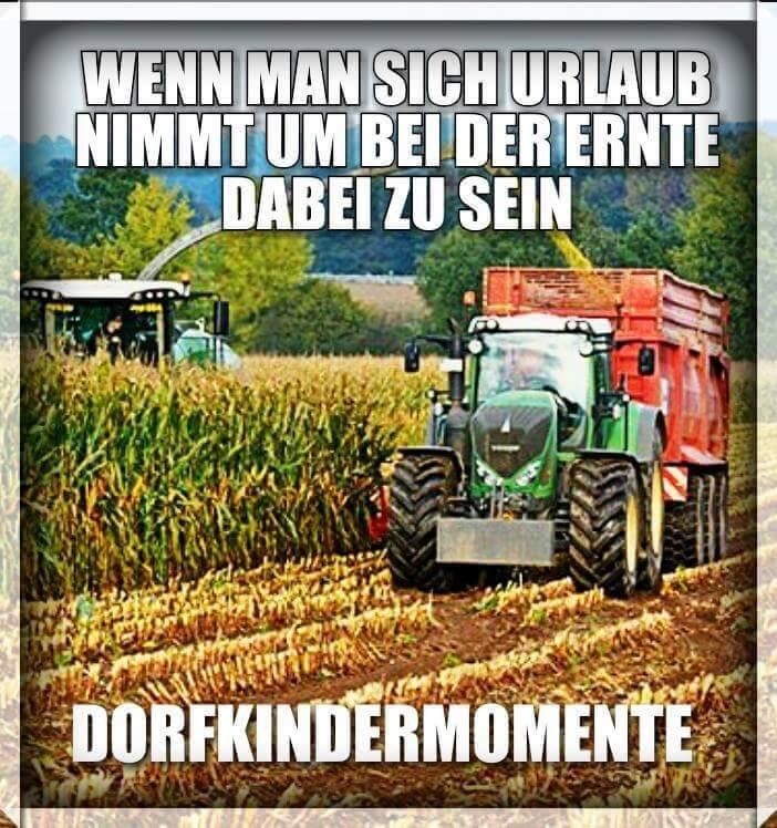 17 Memes, die keiner nachvollziehen kann, der nicht in der