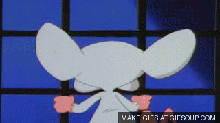 Pinky and the Brain