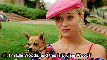 Bark bark bark, woof woof, bark!