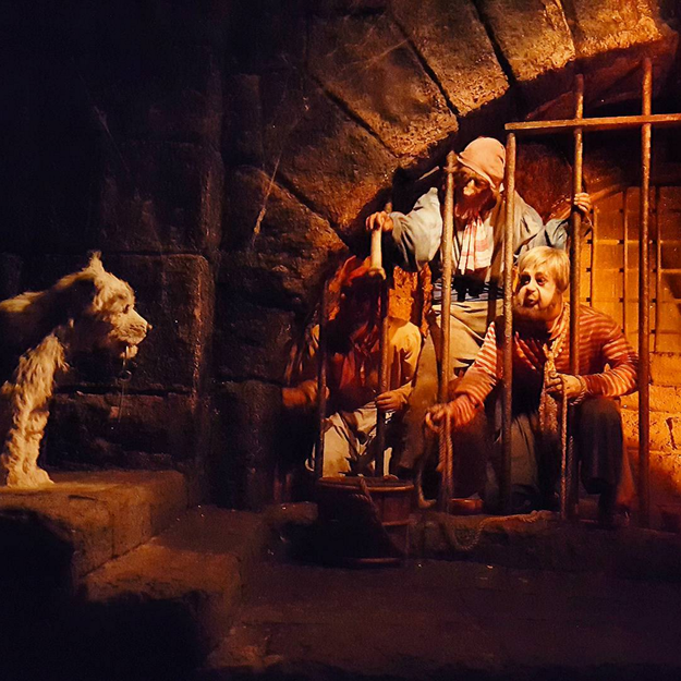 The Pirates of the Caribbean
