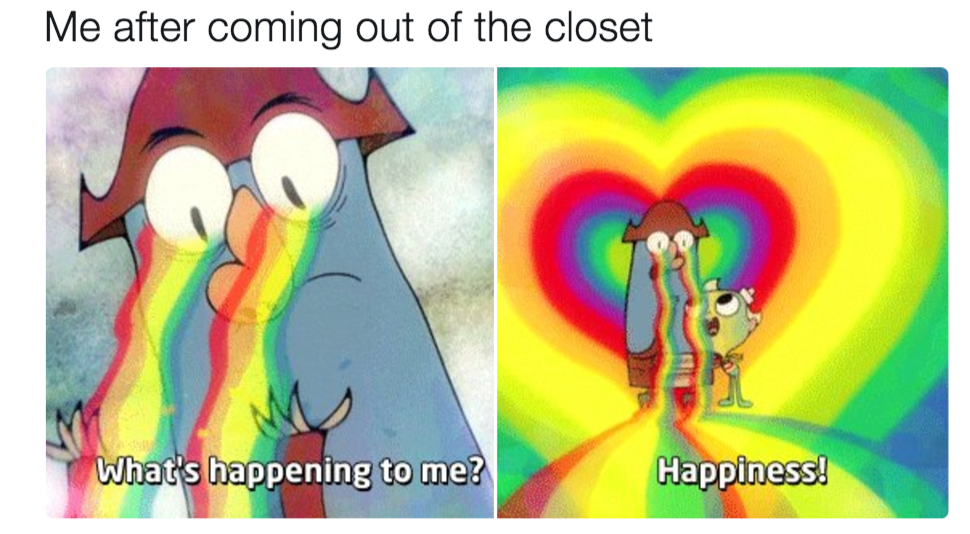 come out of the closet you are gay meme