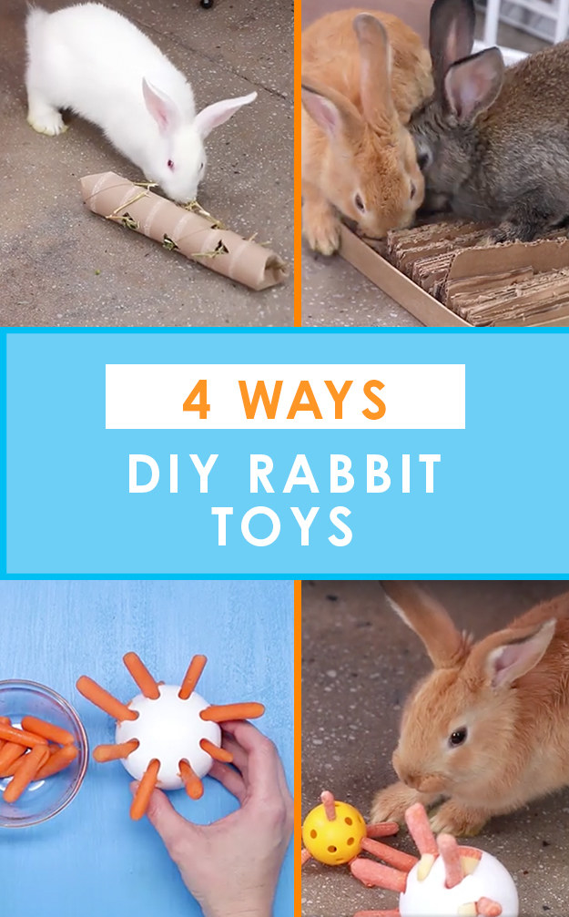 rabbit diy toys