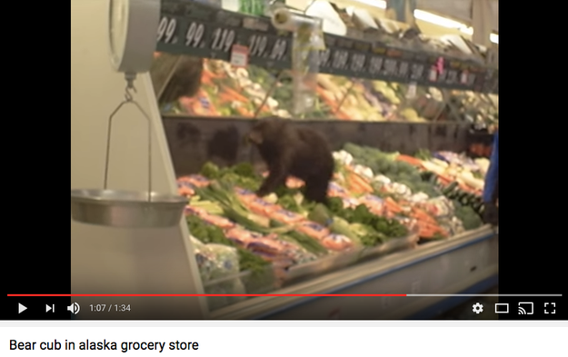 They're gathering supplies...