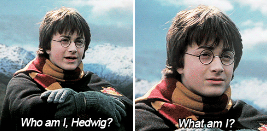 16 Things That Happen When You Know You're In The Wrong Hogwarts House