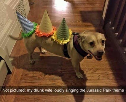 100 Dog Memes That Will Keep You Laughing For Hours