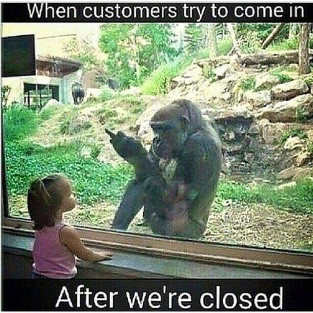 32 Memes That Will Make Supermarket Workers Laugh Then Cry