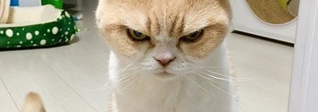 Cranky customers are easy to come by on a regular day. But now that the weather is warming up and children are out of school for the week, the cranky levels hit through the roof.