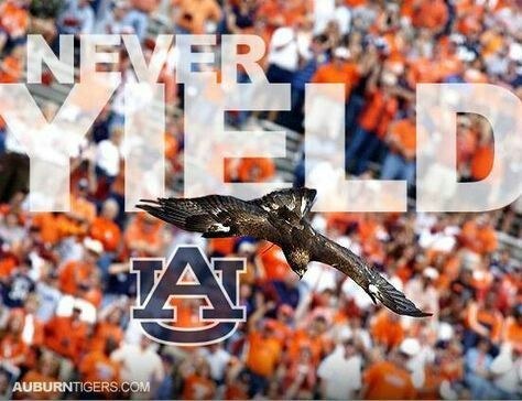 War Eagle Fight Song