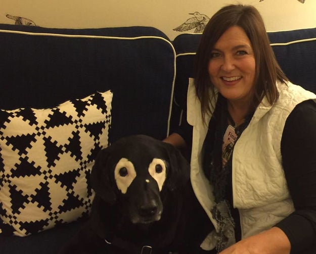 This is Rowdy with his mom, Niki Umbenhower. They live in Oregon. Umbenhower told BuzzFeed News that her old doggo has vitiligo.