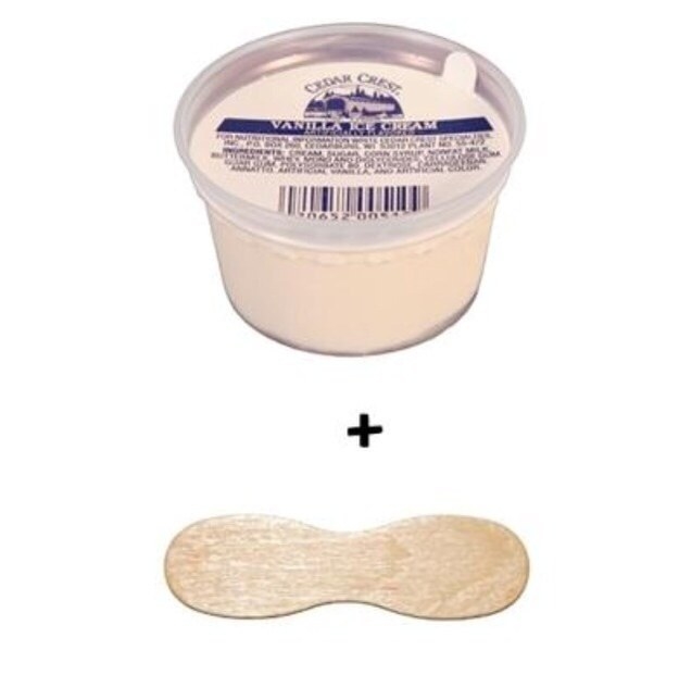 small cup of ice cream with a wooden stick for a spoon