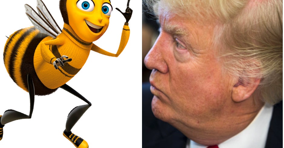 19 Things That Have A Higher Approval Rating Than Donald Trump