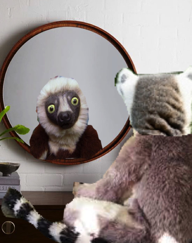 Mirror Zaboo