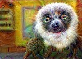 High Zaboo