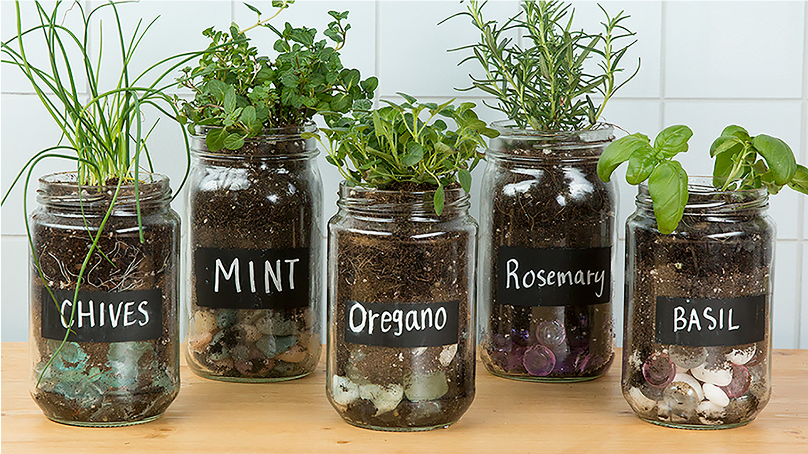 glass herb jars