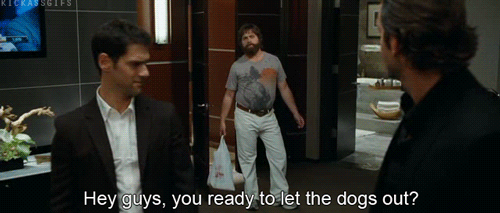 Don’t forget the wolf pack. The very reason the wolf pack was so epic in The Hangover is because they were able to have a great time together, while also having each other’s backs. Make it your mission to pack the people that are sure to have your best interest in mind.