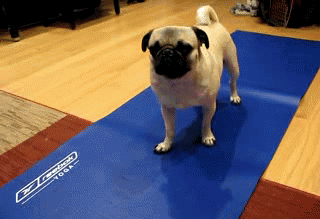 Do some yoga or meditation!