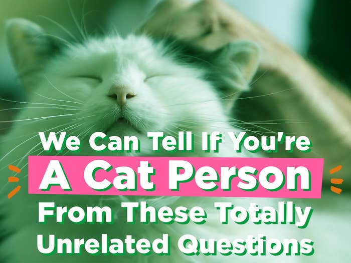 This Quiz Can Tell Whether You're A Cat Or Dog Person