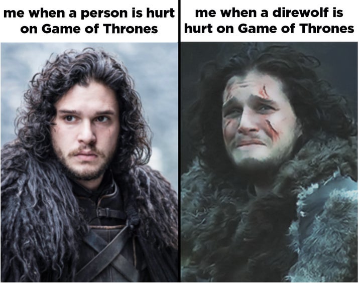 Literally 100 Really Funny "Game Of Thrones" Memes