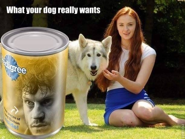 game of thrones name titles 13 game of thrones name titles 4