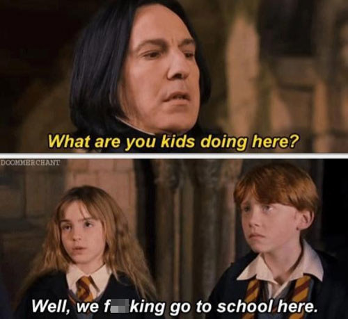 Which are some of your favourite Harry Potter memes that are worth