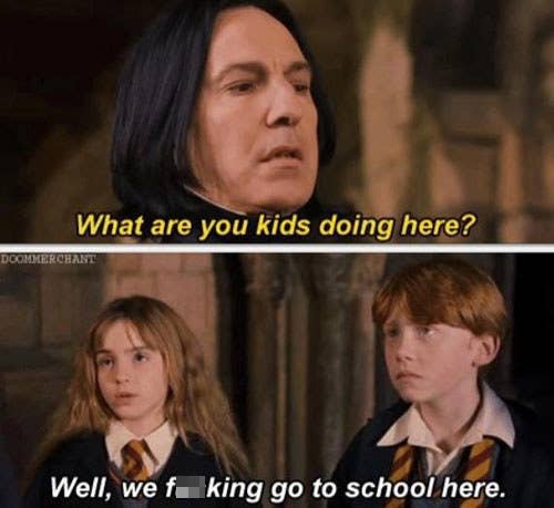 100 Harry Potter Memes That Will Always Make You Laugh