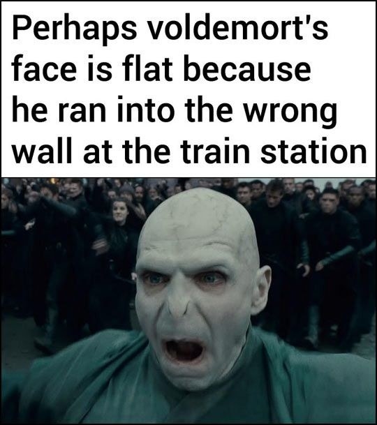 113 Harry Potter Memes That Are Never Not Funny