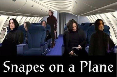 100 Harry Potter Memes That Will Always Make You Laugh