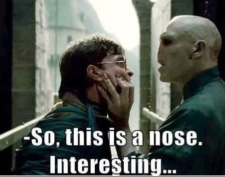 100 Harry Potter Memes That Will Always Make You Laugh