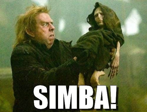 100 Harry Potter Memes That Will Always Make You Laugh