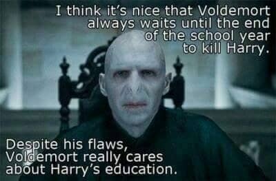 100 Harry Potter Memes That Will Always Make You Laugh