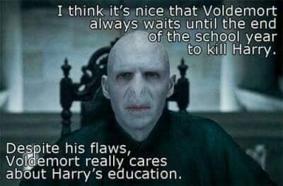 Harry Potter Voldemort Meme  Harry potter jokes, Harry potter memes, Harry  potter memes hilarious