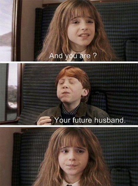 HARRY POTTER MEMES #1 