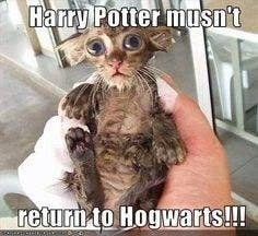 The best Harry Potter memes :) Memedroid