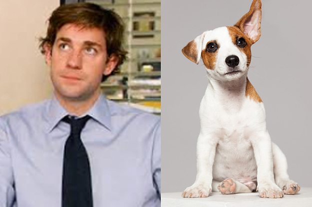 Pick Your Favorite Puppies To See If You're More Left