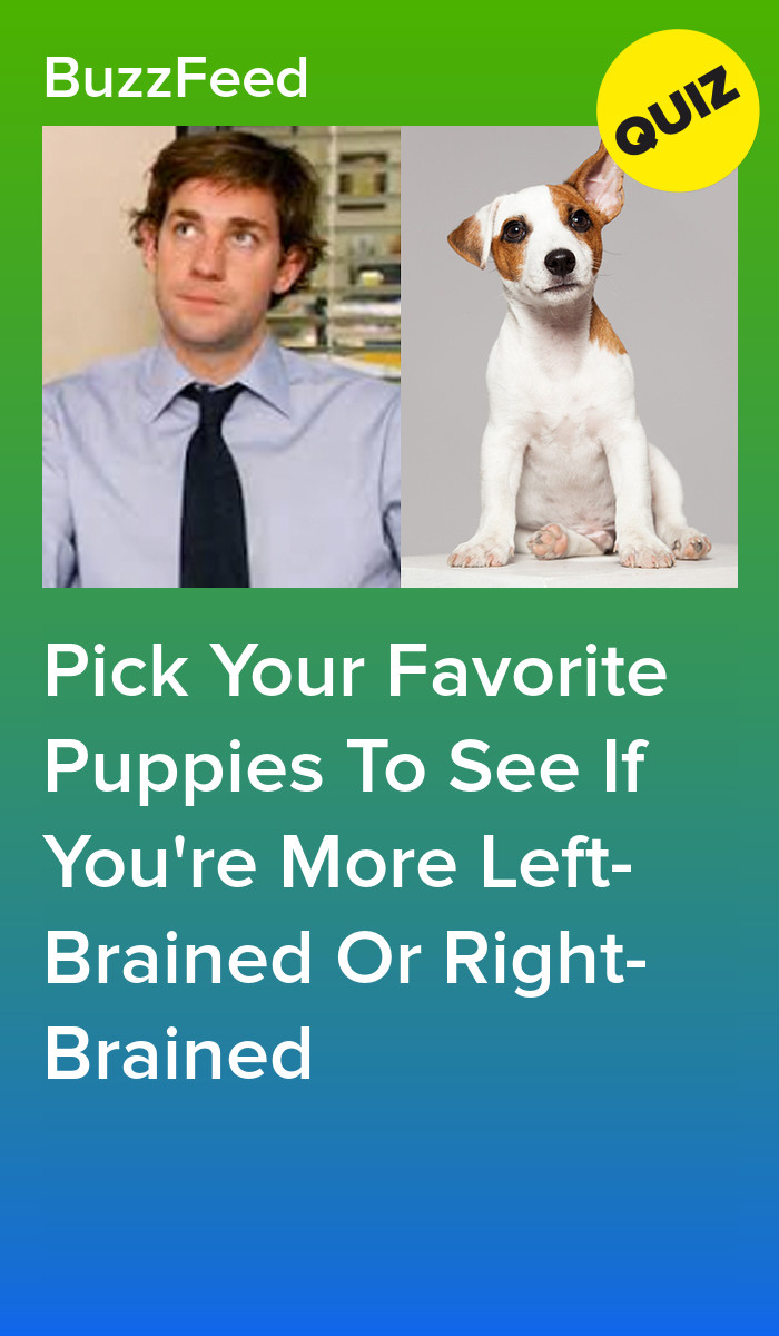 Pick Your Favorite Puppies To See If You're More Left