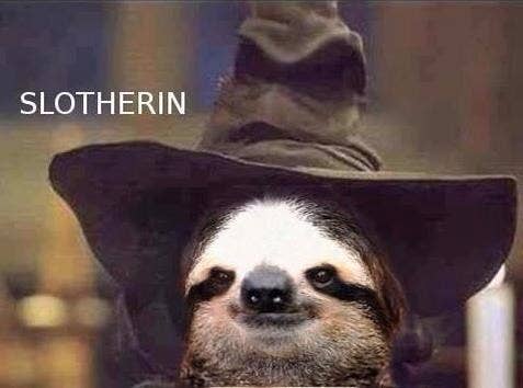 100 Harry Potter Memes That Will Always Make You Laugh 49 hilarious sloth memes of september 2019. 100 harry potter memes that will