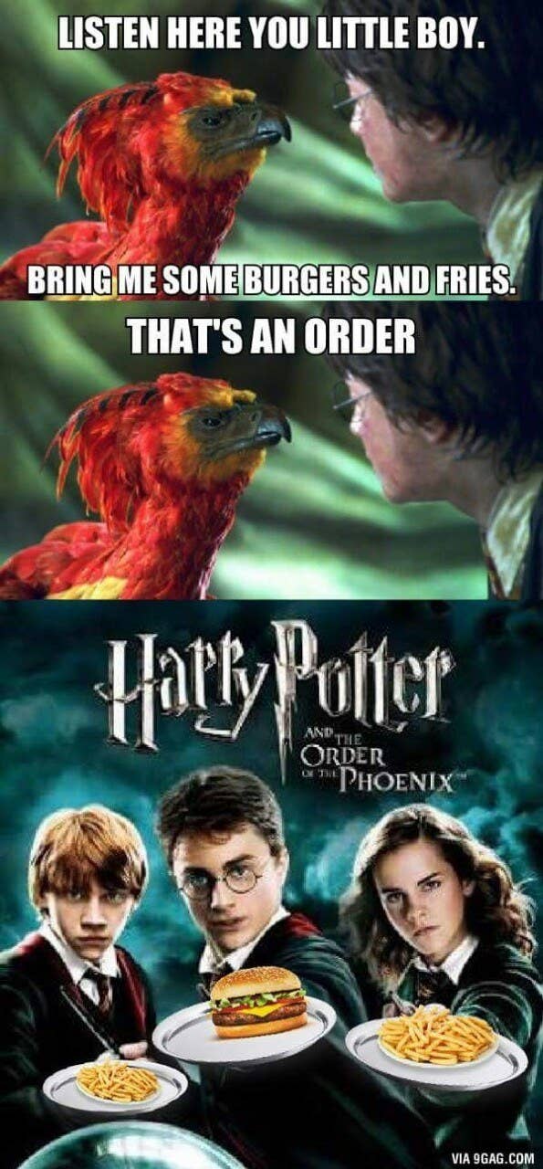 Harry Potter Memes Sub-buzz-777-1490376788-1