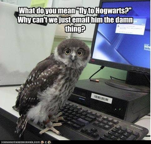 100 Harry Potter Memes That Will Always Make You Laugh