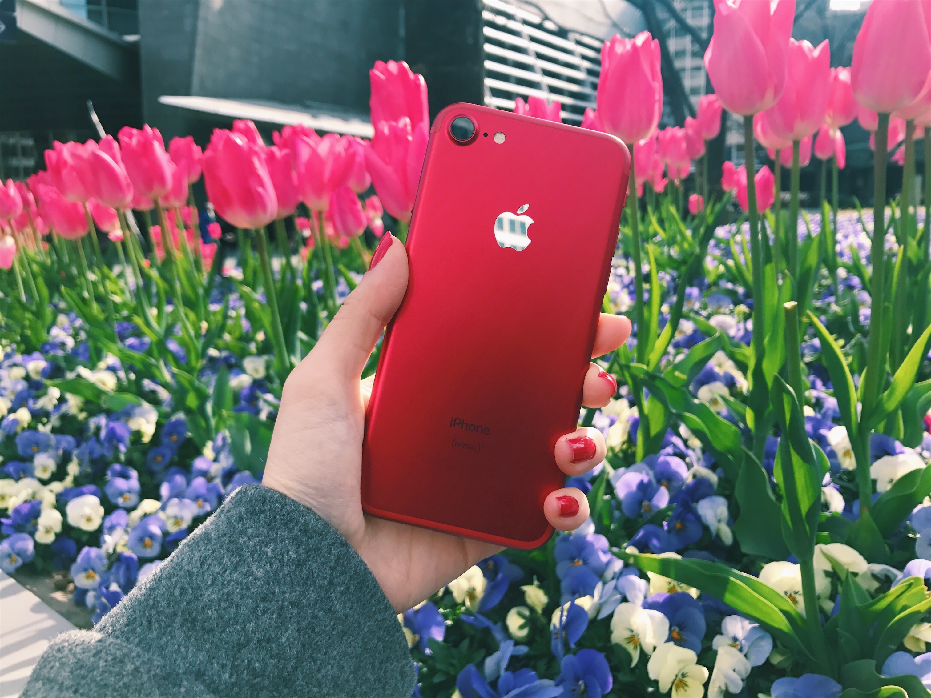Apple iPhone7 本体のみ　赤 Apple iPhone 7 128GB 赤 本体 - メルカリ