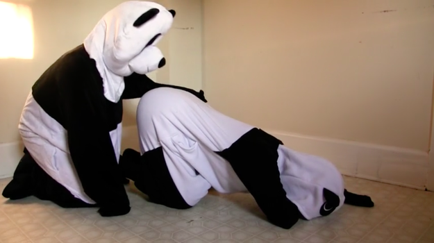 Alguns usuários do site Pornhub têm feito upload de vídeos amadores transando vestidos de panda. Sim, panda.